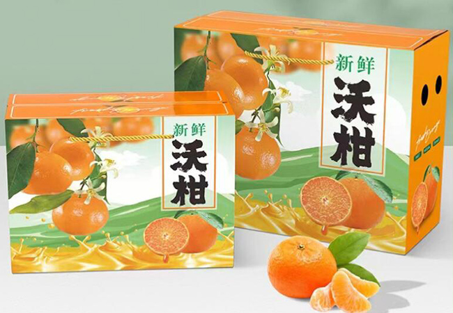 技術(shù)專(zhuān)業(yè)、量身定制